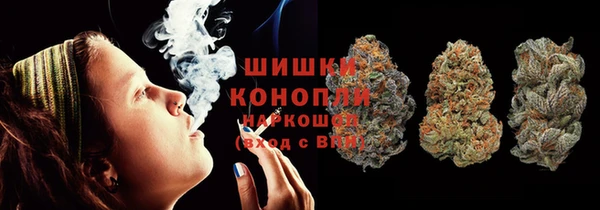 крисы Анива