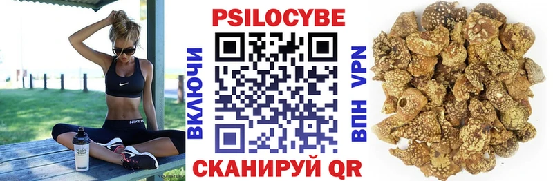 цены   Мичуринск  блэк спрут tor  Галлюциногенные грибы Psilocybe 